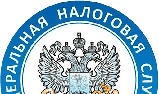 Отчетность в ФНС