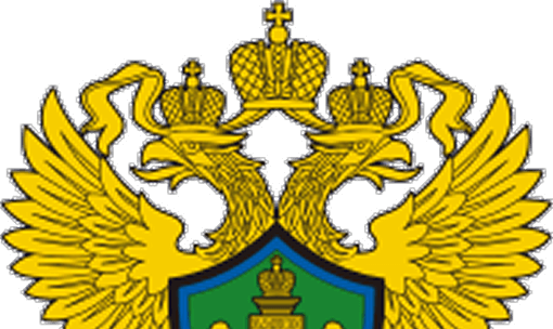 Отчетность в РПН